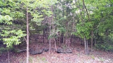 Table Rock Lake Lot For Sale in Galena Missouri