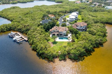 Riviera Bay  Home Sale Pending in St. Petersburg Florida