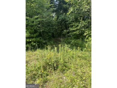 Lake Lot For Sale in Martin, Georgia