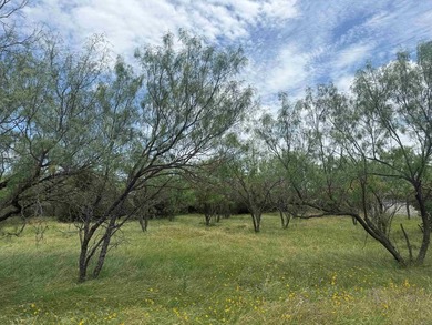 Beautiful level lot located in the desirable Horseshoe Bay West - photo 1