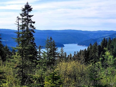 Dworshak Reservoir Acreage Sale Pending in Orofino Idaho