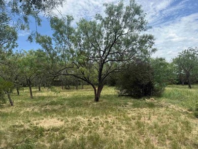 Beautiful level lot located in the desirable Horseshoe Bay West - photo 2