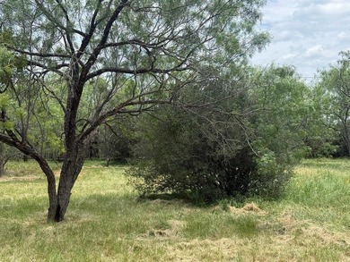 Beautiful level lot located in the desirable Horseshoe Bay West - photo 3