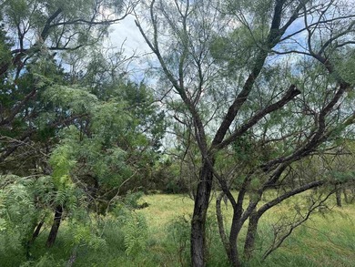 Beautiful level lot located in the desirable Horseshoe Bay West - photo 2