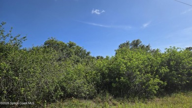 BUILD YOUR DREAM HOME IN THE COUNTRY! Nature abounds in this - photo 1