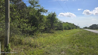BUILD YOUR DREAM HOME IN THE COUNTRY! Nature abounds in this - photo 3
