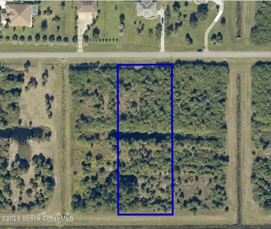 BUILD YOUR DREAM HOME IN THE COUNTRY! Nature abounds in this - photo 5