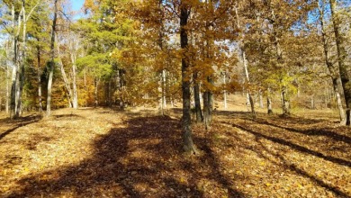 Wooded Lot with Dock Possible near Rough River Lake. SOLD - Lake Lot SOLD! in Falls Of Rough, Kentucky