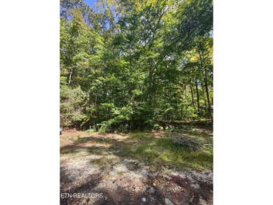 Lake Lot For Sale in Speedwell, Tennessee