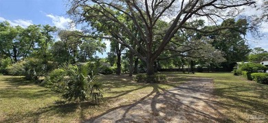 Over half an acre, level lot, fenced on 4 sides with a - photo 3