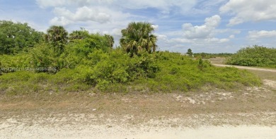 Lehigh Acres Area Lot For Sale in Lehigh Acres Florida