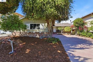 This stunning mid-century modern Hayward Hills home offers SF - photo 33