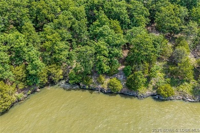This premier Lakefront lot at The Villages at Shawnee Bend - photo 14