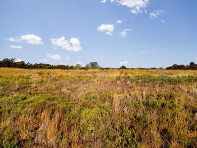 10 ACRES - TRACT 2 - RURAL PARADISE EAST OF NORMAN - NO - photo 14