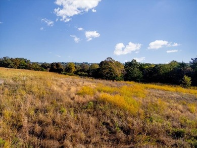 10 ACRES - TRACT 2 - RURAL PARADISE EAST OF NORMAN - NO - photo 15