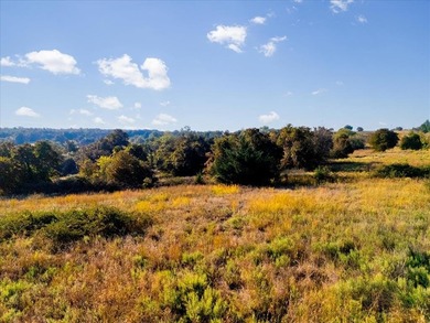 10 ACRES - TRACT 2 - RURAL PARADISE EAST OF NORMAN - NO - photo 16