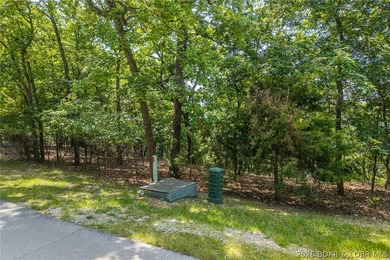 This premier Lakefront lot at The Villages at Shawnee Bend - photo 17