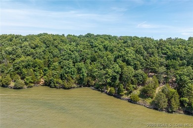 This premier Lakefront lot at The Villages at Shawnee Bend - photo 30