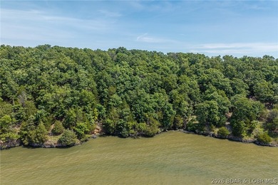 This premier Lakefront lot at The Villages at Shawnee Bend - photo 31