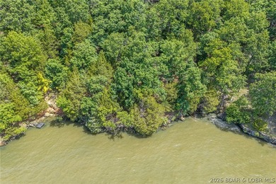 This premier Lakefront lot at The Villages at Shawnee Bend - photo 34