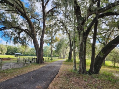 (private lake, pond, creek) Acreage For Sale in Morriston Florida