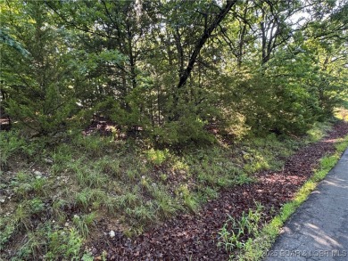 Lake Lot For Sale in Linn Creek, Missouri