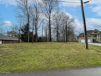 Lake Lot For Sale in Dandridge, Tennessee