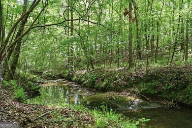 PRICE REDUCED!!!! PRIVATE CREEKSIDE RETREAT ON 10.59 ACRES NEAR - photo 26