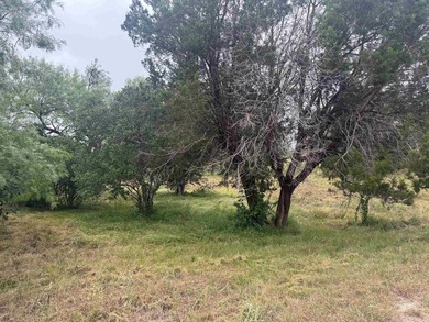 Beautiful large lot in a highly desirable neighborhood, located - photo 2