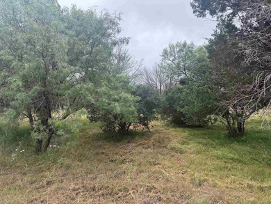Beautiful large lot in a highly desirable neighborhood, located - photo 3