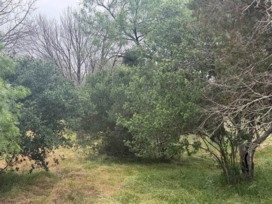 Beautiful large lot in a highly desirable neighborhood, located - photo 4