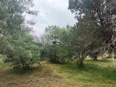 Beautiful large lot in a highly desirable neighborhood, located - photo 5