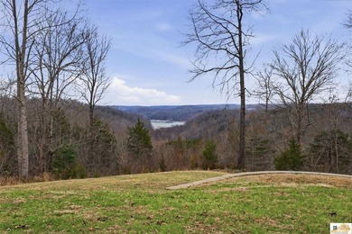 Welcome to Lake Living at Its Finest in Burkesville, KY - photo 37