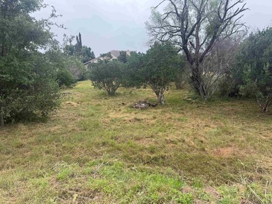 Beautiful large lot in a highly desirable neighborhood, located - photo 1