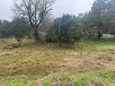 Beautiful large lot in a highly desirable neighborhood, located - photo 2