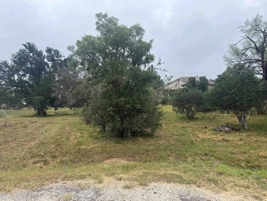 Beautiful large lot in a highly desirable neighborhood, located - photo 5
