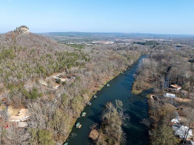 NEW CONSTRUCTION on the Little Red River! This fantastic cabin - photo 36