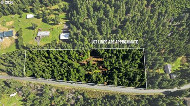 Tucked away on the east side of Bandon, this forested 5-acre - photo 1