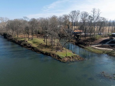 NEW CONSTRUCTION on the Little Red River! This fantastic cabin - photo 42