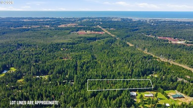Tucked away on the east side of Bandon, this forested 5-acre - photo 2