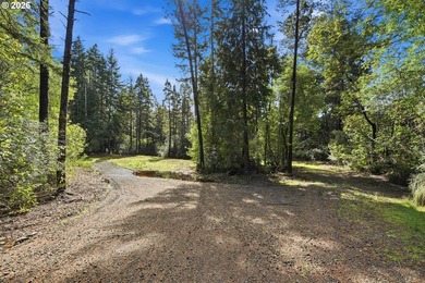 Tucked away on the east side of Bandon, this forested 5-acre - photo 3