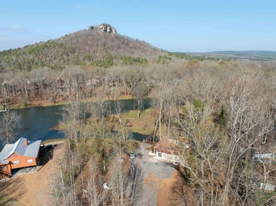 NEW CONSTRUCTION on the Little Red River! This fantastic cabin - photo 45