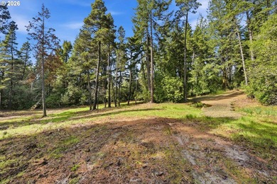 Tucked away on the east side of Bandon, this forested 5-acre - photo 5