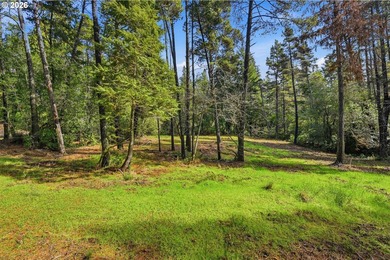 Tucked away on the east side of Bandon, this forested 5-acre - photo 7