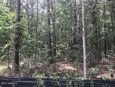 Visible From Hwy 278, Behind Infinity/Vaden Car Dealership - photo 10