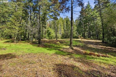 Tucked away on the east side of Bandon, this forested 5-acre - photo 10