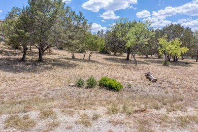 Gorgeous large lot that is fairly level with lots of trees! It - photo 1