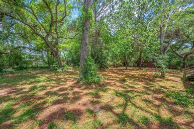 Offered for the first time by its original owner, this - photo 35