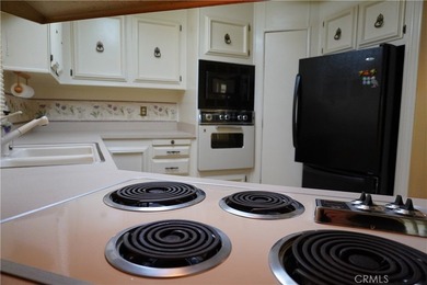 NICE LOCATION ON GREENBRIER IN KELLY RIDGE!! LARGE 2 BED 2 BA - photo 16