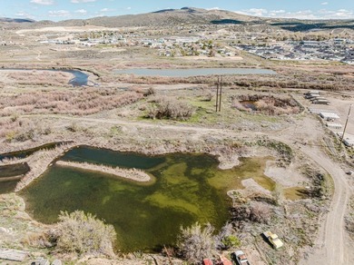 Situated between the railroad tracks and the Humboldt River - photo 25